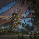Flourish Pavilion / Studio A-Light - Exterior Photography, Forest